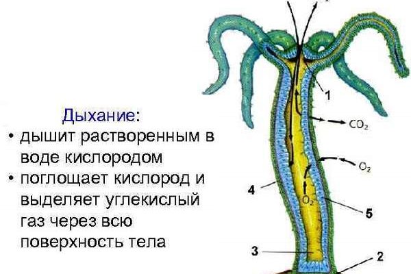 Вход в кракен даркнет