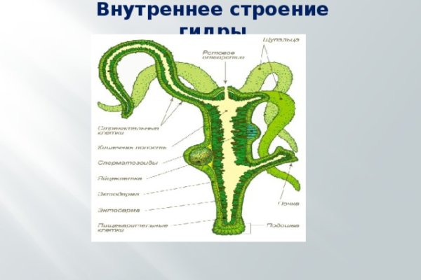 Kraken рабочее зеркало